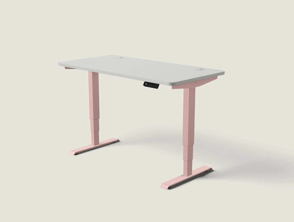 HomePro desk