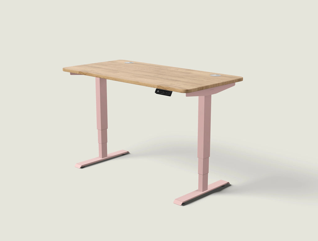 HomePro desk